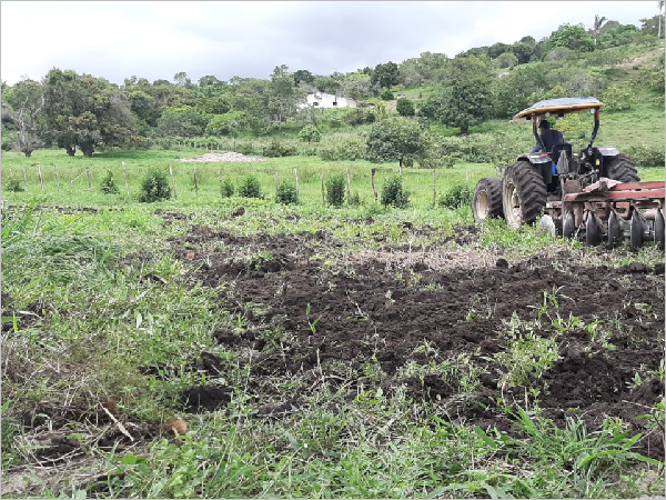 Prefeitura de Pilõezinhos inicia cadastro de agricultor para Programa Corte de Terra